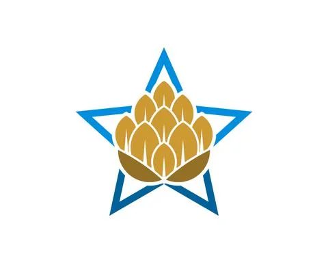 Simple star shape with brewery beer inside Stock Illustration