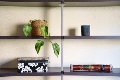 Simple stylish display, Chic decor with plants, Elegant shelf arrangement with Stock Photos