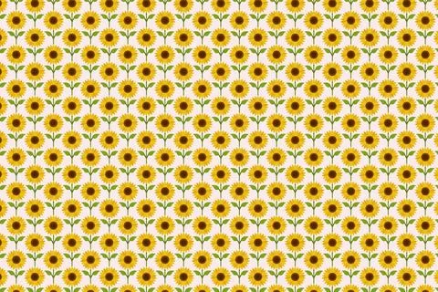 A simple sunflower pattern vector isolated on white background Stock Illustration