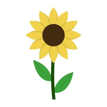 Simple Sunflower Vector Illustration Stock Illustration