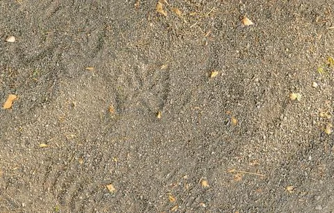 Simple thin gray gravel texture with dead leaves on the ground outdoors top.. Stock Photos
