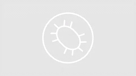 Simple thin line white animation of bacteria remedy icon Stock Footage 274258908