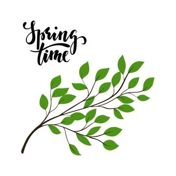 Simple Tree branch with green leaves. vector plant, isolated on white backg.. Stock Illustration