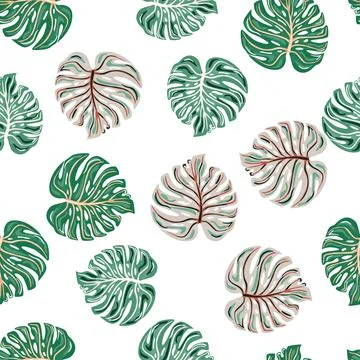 Simple tropical seamless pattern with monstera leaves isolated on white backg Stock Illustration