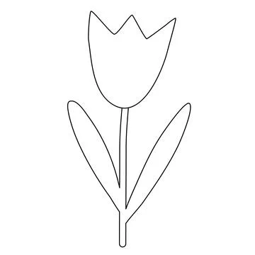 Simple tulip flower, spring design element, doodle style flat vector outline for 스톡 일러스트