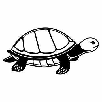 Simple turtle design clean vector white backgroun Stock Illustration