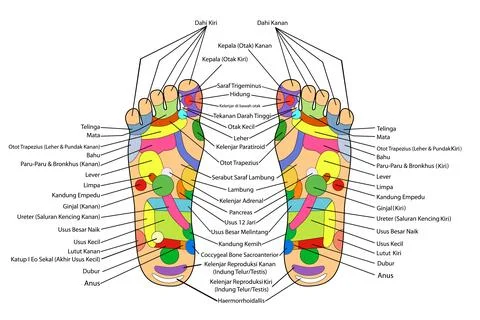 Simple vector acupuncture, traditional alternative heal, left and right foo.. Stock Illustration