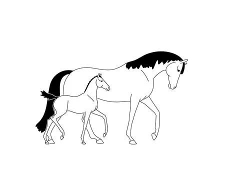 Simple vector drawing of a mare and foal Stock Illustration