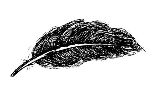 Simple Vector hand draw sketch of black feather Stock Illustration