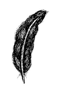Simple Vector hand draw sketch of black feather Stock Illustration
