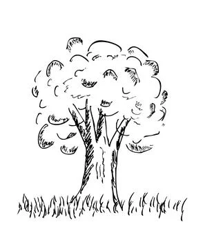 Simple Vector Hand Draw Sketch, Big tree and grass Stock Illustration