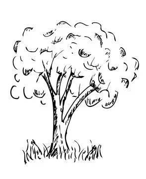 Simple Vector Hand Draw Sketch, Big tree and grass Illustrazione stock