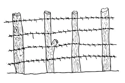 Simple Vector hand draw sketch of Barbed wire and tree gate Stock Illustration