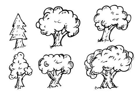 Simple Vector Hand Draw Sketch, Set 6 Big tree and grass Illustrazione stock