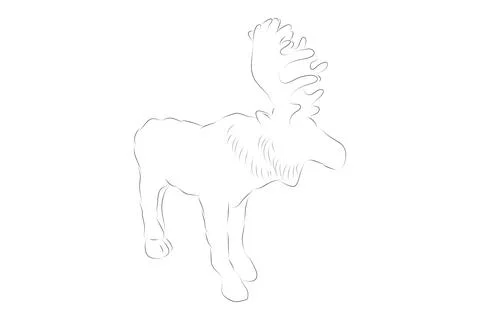 Simple vector hand draw sketch moose or big deer, isolated on white Illustrazione stock