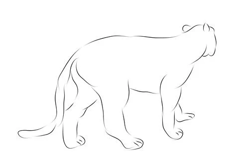 Simple vector hand draw sketch tige or big deer, isolated on white Stock Illustration