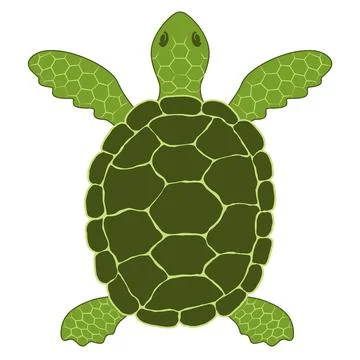 Simple vector illustration of a green sea turtle (Chelonia mydas) 스톡 일러스트