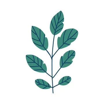 Simple vector illustration of green tropical leaves, ideal for eco-themed Stock Illustration