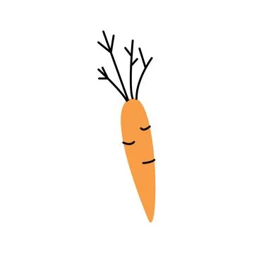 Simple vector illustration of an orange carrot on a white background Stock Illustration