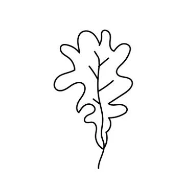 Simple vector leaf of an oak. Botanic, autumn illustration Stock Illustration