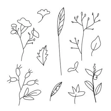 Simple vector leaves, branches and berries.Botanical autumn illustration Stock Illustration