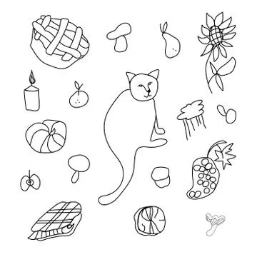 Simple vector leaves, branches and berries.Botanical autumn illustration Stock Illustration