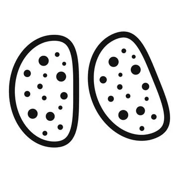 Simple vector line drawing showing two potatoes with spots Stock Illustration