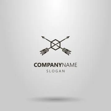 Simple vector logo of two arrows piercing hexagon Stock Illustration