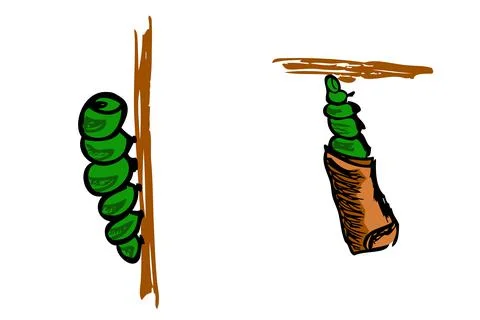 Simple Vector Manual Hand Draw Sketch of Climbing Worm, and Cocoon at Tree, i Stock Illustration