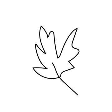 Simple vector maple leaf. Autumn,botanical illustration with Stock Illustration