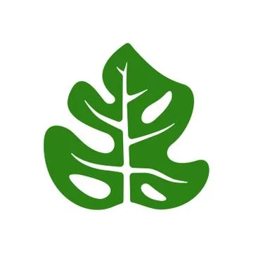 Simple vector monstera green leaf 스톡 일러스트