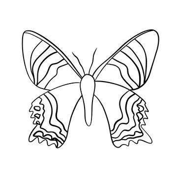 Simple vector outline of a butterfly Stock Illustration