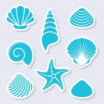 Simple vector sea shells and starfish Illustration