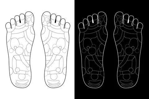 Simple Vector Set 2 Black and White Blank scheme of Acupuncture, Traditional  Ilustração Stock