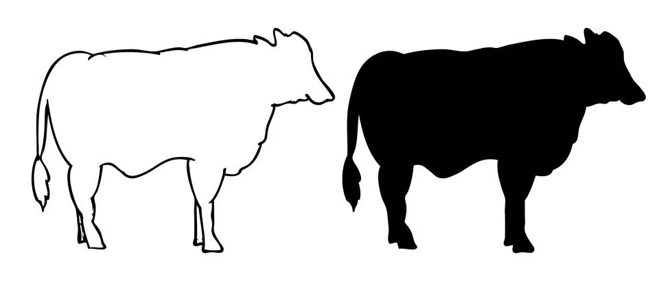 Simple vector set 2, outline and silhouette cow, isolated on white Illustrazione stock