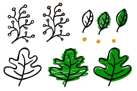 Simple vector set doodle hand draw sketch green and brown leaf flower, branch Stock Illustration