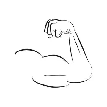 Simple Vector Sketch Arm of Muscle Man, Isolated on White 스톡 일러스트