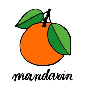 Simple vector sketch, tangerine fruit drawing. A ripe tangerine fruit with tw Stock Illustration