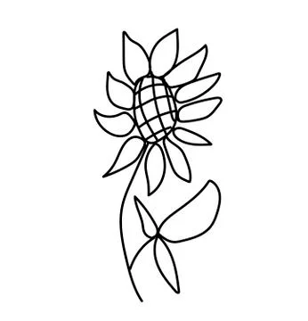 Simple vector sunflower. Botanical and autumn illustration Stock Illustration