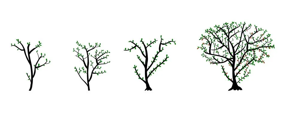 Simple vector tree branch and leaf, hand draw sketch Stock Illustration