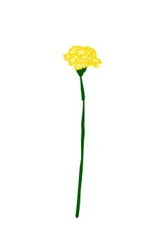 Simple vector yellow carnation flower Stock Illustration