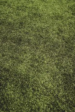 Simple vertical grass background texture Stock Photos