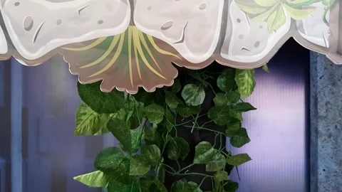 Simple Wall Decoration Stock Footage 246804545