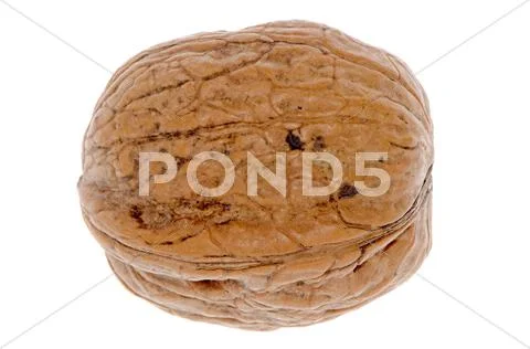 Simple wallnut Stock Photos