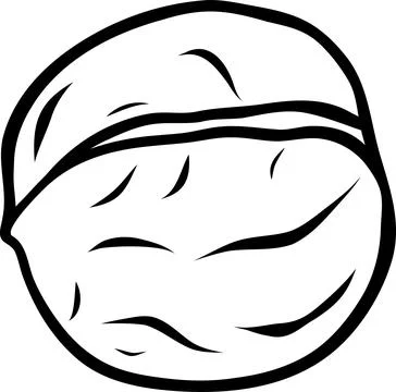 Simple walnut vector icon, black and white hand-drawn icon, doodle and sket.. Stock Illustration