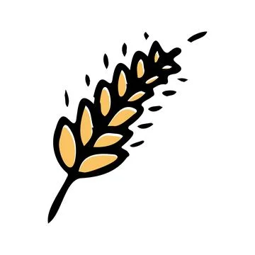 Simple wheat icon on white background, spike hand drawing doodle style Stock Illustration