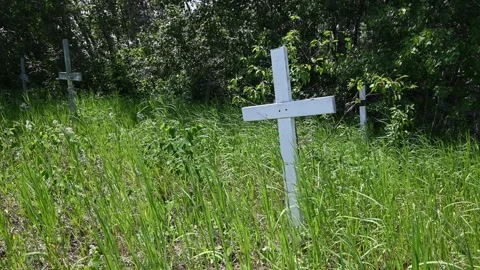 A simple white cross with dilapidated crosses in the background in an overgrown Stock Footage 312481234
