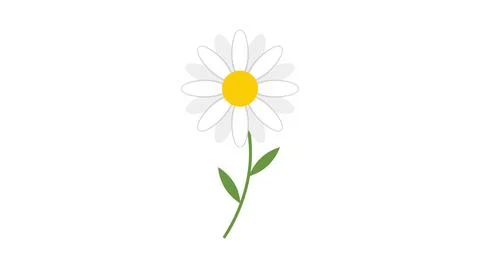 Simple white daisy flower with green stem Stock Illustration