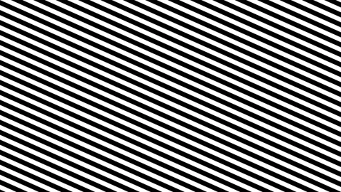 Simple White Lines Background Loop Stock-Footage 137168270