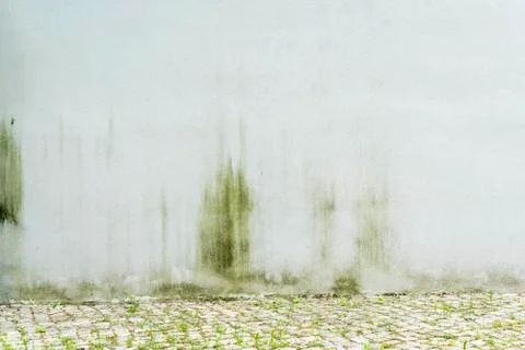 Simple white, weathered wall for backgrounds Stock Photos